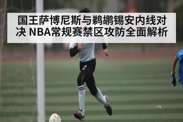 国王萨博尼斯与鹈鹕锡安内线对决 NBA常规赛禁区攻防全面解析